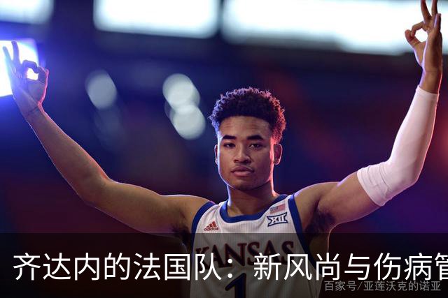 齐达内的法国队：新风尚与伤病管理的双赢之道